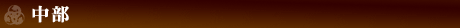 中部